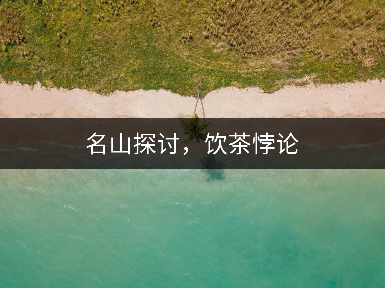 名山探討，飲茶悖論