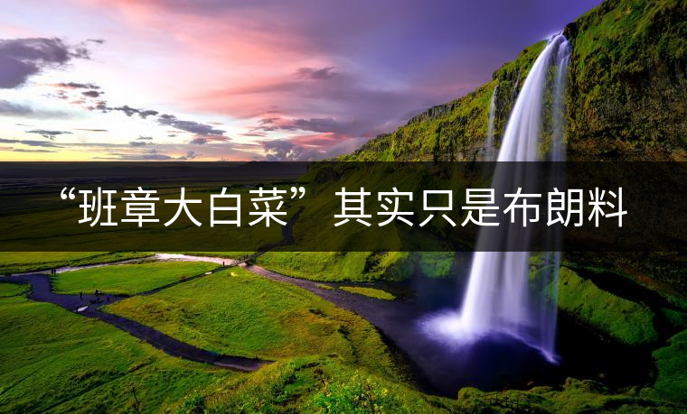 “班章大白菜”其實(shí)只是布朗料？