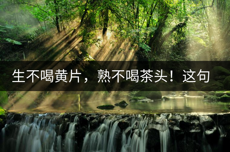 生不喝黃片，熟不喝茶頭！這句話你了解多少？