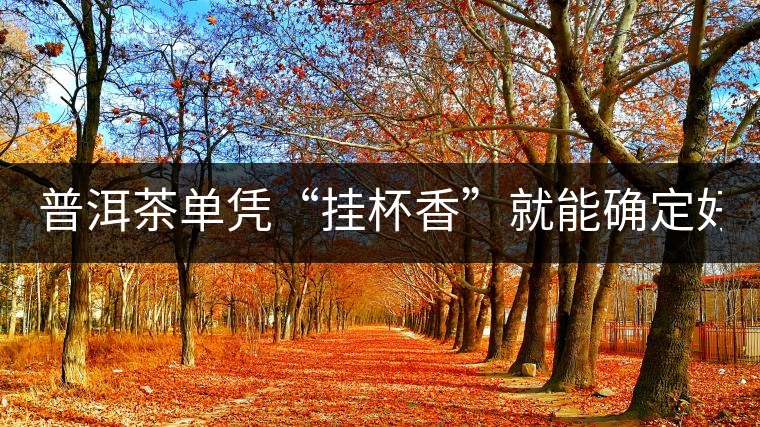 普洱茶單憑“掛杯香”就能確定好壞？you錯(cuò)了！