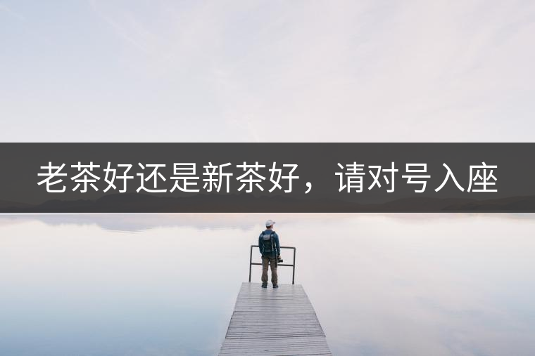 老茶好還是新茶好，請對號入座