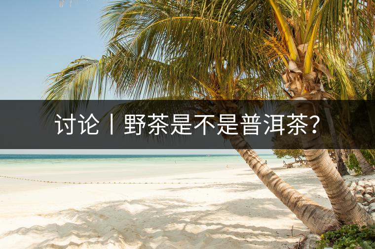 討論丨野茶是不是普洱茶？
