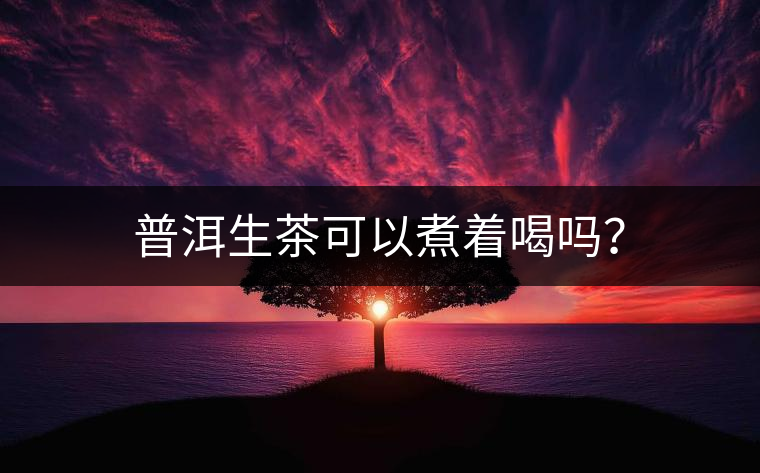 普洱生茶可以煮著喝嗎？