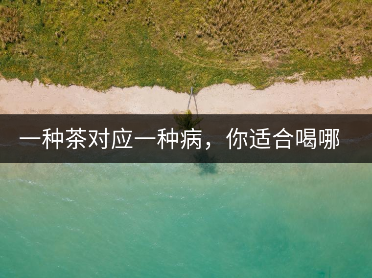 一種茶對應(yīng)一種病，你適合喝哪一種呢？