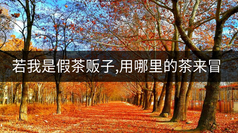 若我是假茶販子,用哪里的茶來(lái)冒充老班章/冰島/昔歸,才能讓你喝不透真假? 若我是假茶販子,用哪里的茶來(lái)冒充老班章/冰島/昔歸,才能讓你喝不透真假?