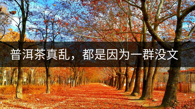 普洱茶真亂，都是因?yàn)橐蝗簺](méi)文化的人在瞎搞？真敢說(shuō)！