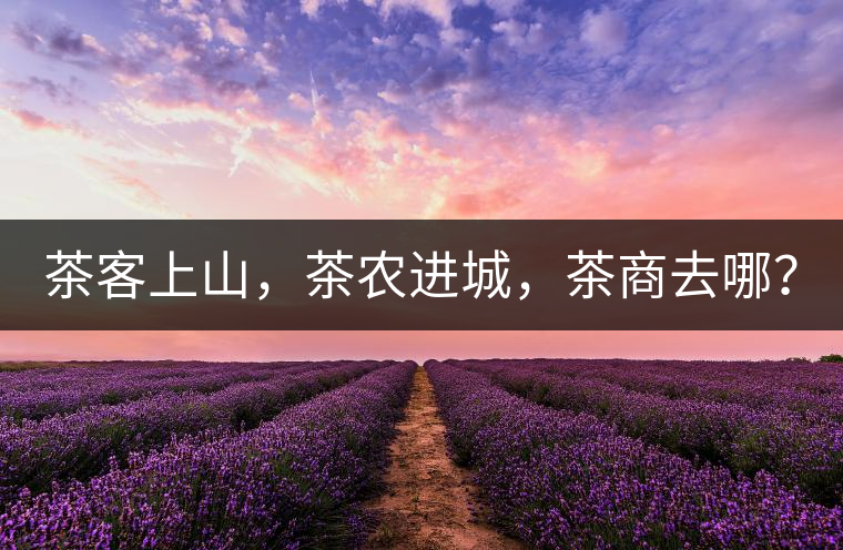 茶客上山，茶農(nóng)進(jìn)城，茶商去哪？