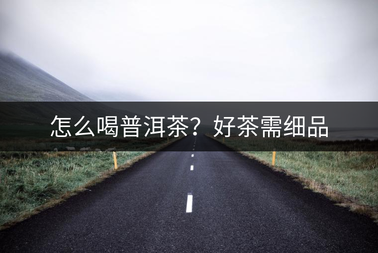 怎么喝普洱茶？好茶需細(xì)品