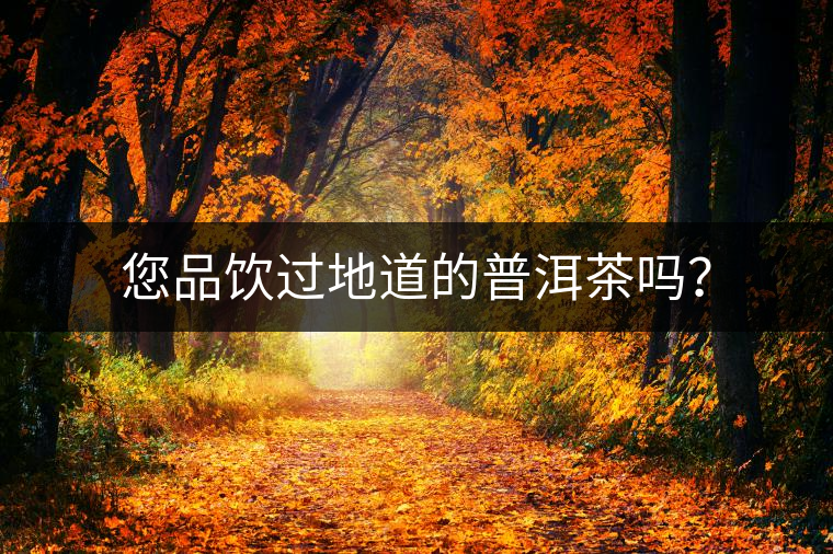 您品飲過地道的普洱茶嗎？
