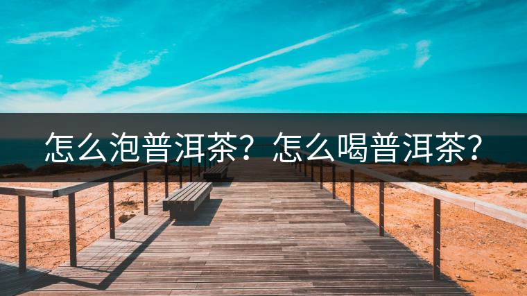 怎么泡普洱茶？怎么喝普洱茶？
