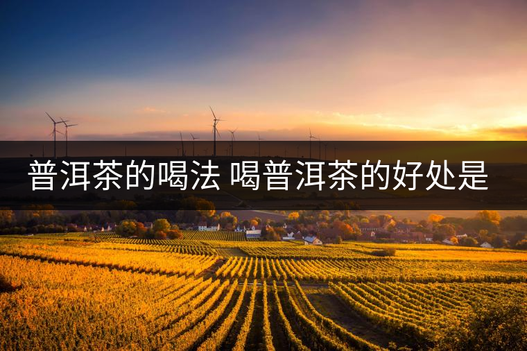 普洱茶的喝法 喝普洱茶的好處是什么？