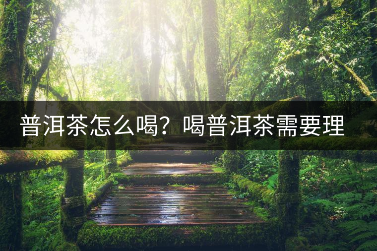 普洱茶怎么喝？喝普洱茶需要理由嗎？