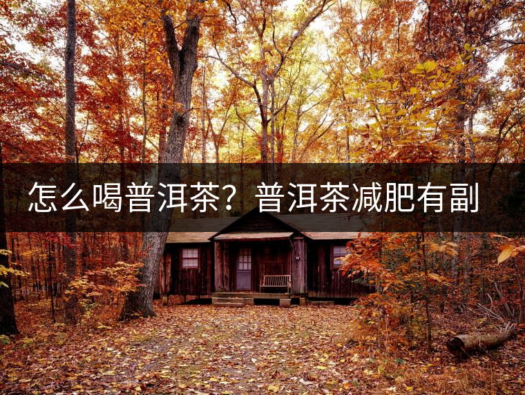 怎么喝普洱茶？普洱茶減肥有副作用嗎？