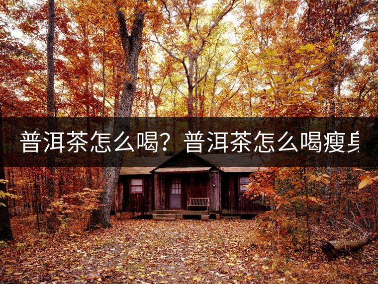 普洱茶怎么喝？普洱茶怎么喝瘦身？