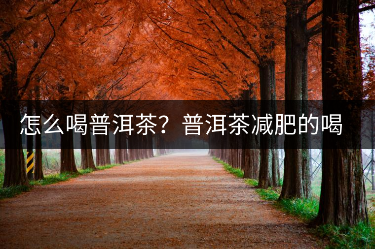 怎么喝普洱茶？普洱茶減肥的喝法