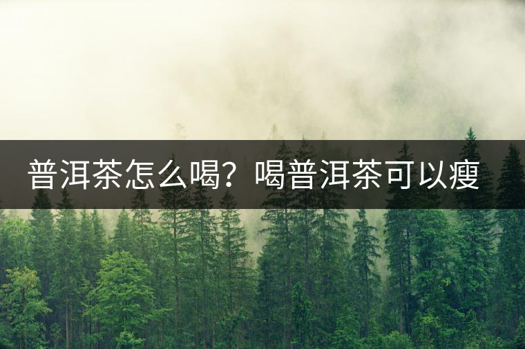 普洱茶怎么喝？喝普洱茶可以瘦腹嗎？