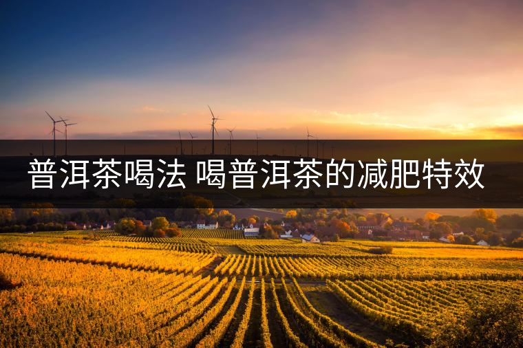 普洱茶喝法 喝普洱茶的減肥特效是什么呢？