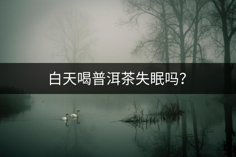 白天喝普洱茶失眠嗎？