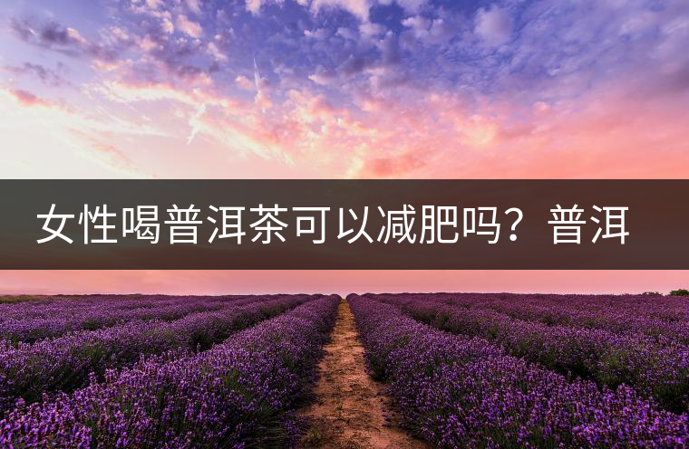 女性喝普洱茶可以減肥嗎？普洱茶的功效又有哪些呢？