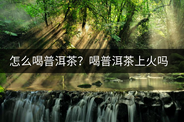 怎么喝普洱茶？喝普洱茶上火嗎？喝普洱茶會(huì)不會(huì)上火？