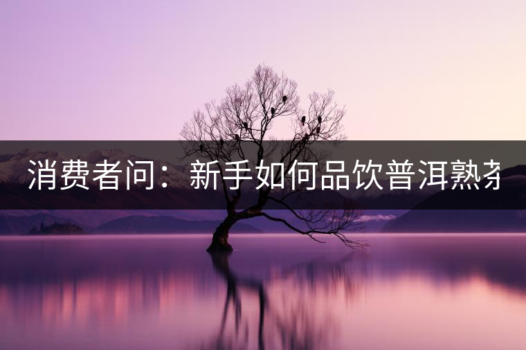 消費者問：新手如何品飲普洱熟茶？