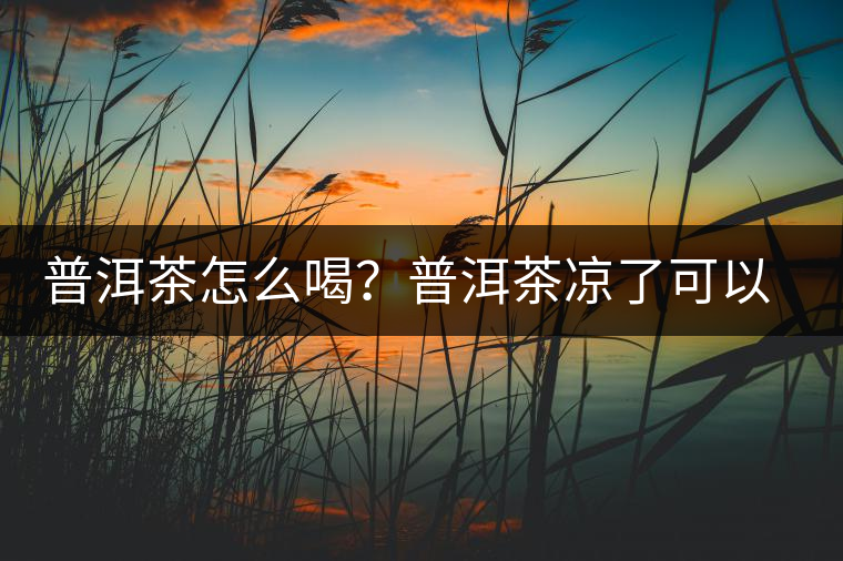 普洱茶怎么喝？普洱茶涼了可以喝嗎？