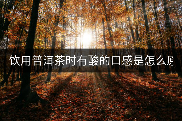 飲用普洱茶時(shí)有酸的口感是怎么原因？