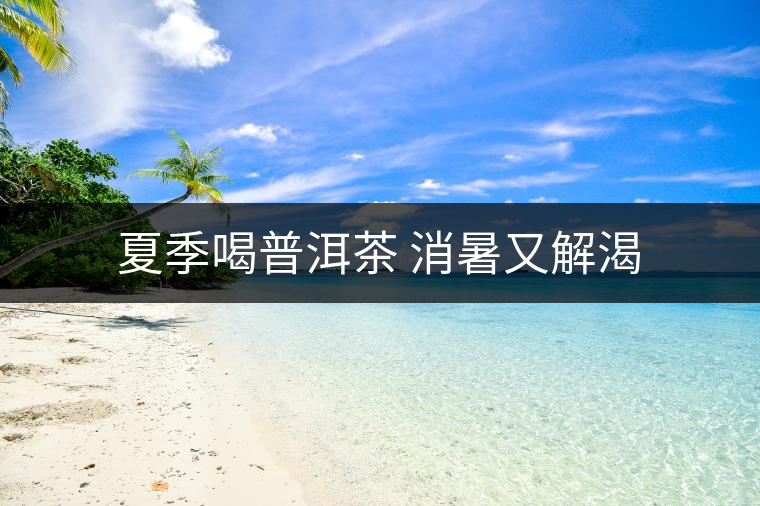 夏季喝普洱茶 消暑又解渴 夏季喝普洱茶 消暑又解渴