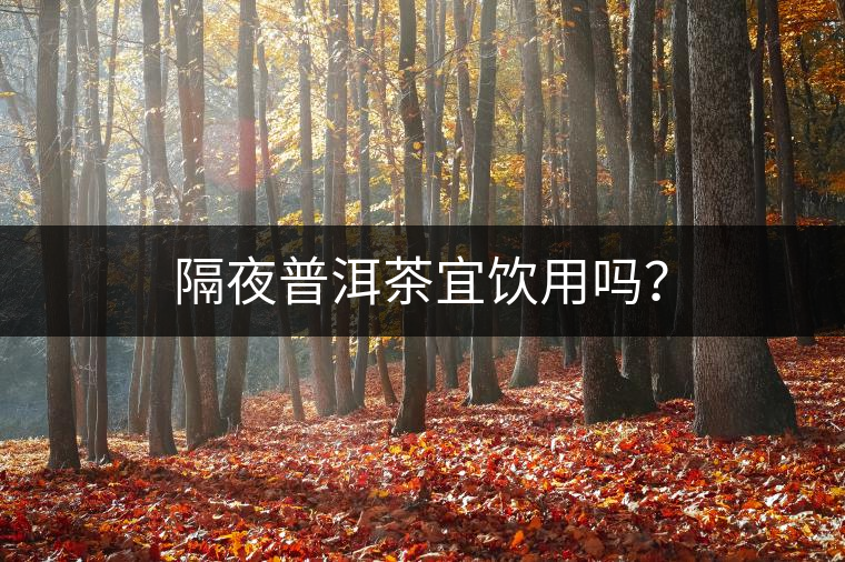 隔夜普洱茶宜飲用嗎？