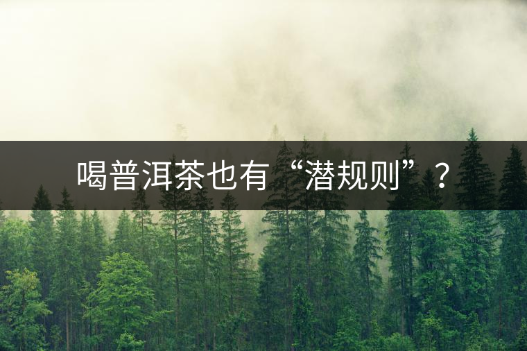 喝普洱茶也有“潛規(guī)則”？
