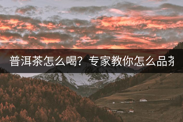 普洱茶怎么喝？專家教你怎么品茶？