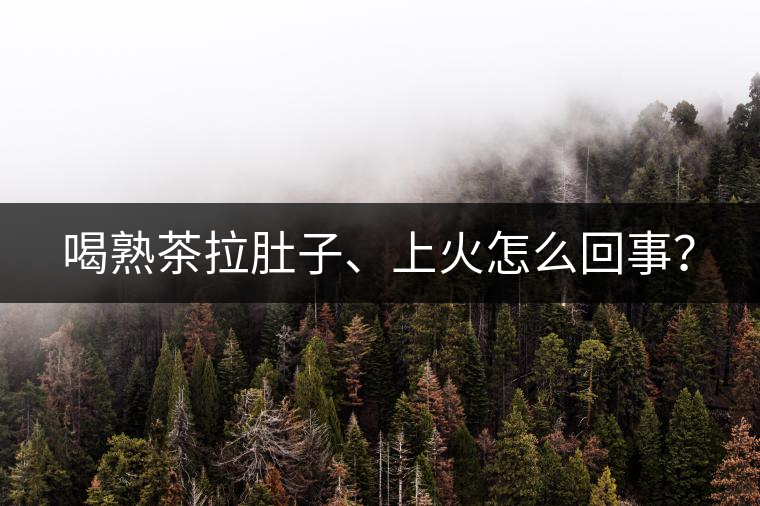 喝熟茶拉肚子、上火怎么回事？