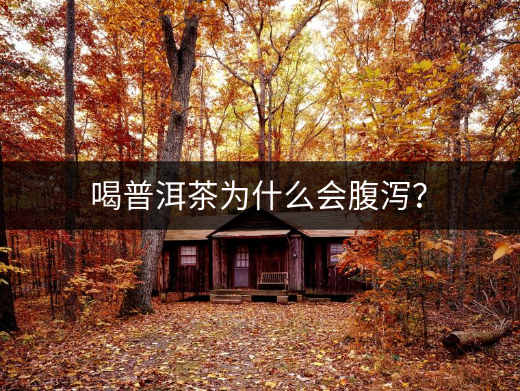 喝普洱茶為什么會腹瀉？
