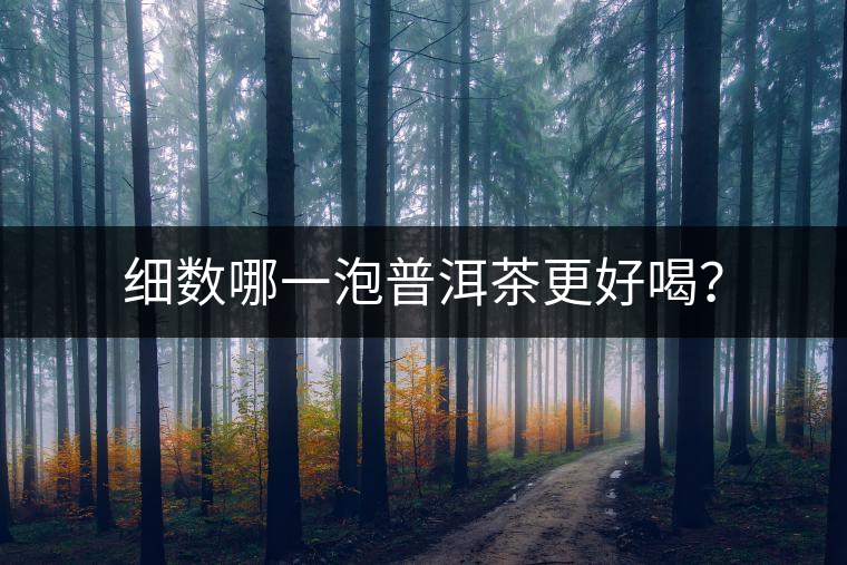 細數(shù)哪一泡普洱茶更好喝？