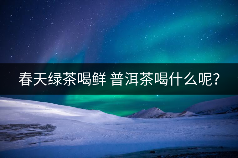 春天綠茶喝鮮 普洱茶喝什么呢？