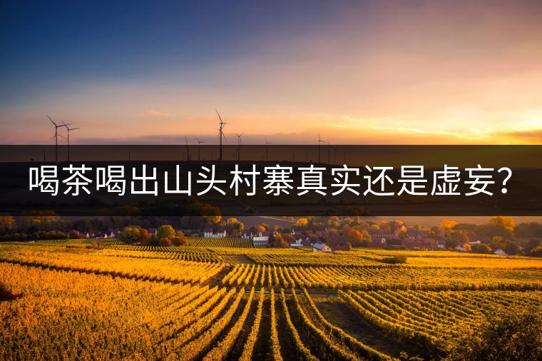喝茶喝出山頭村寨真實還是虛妄？