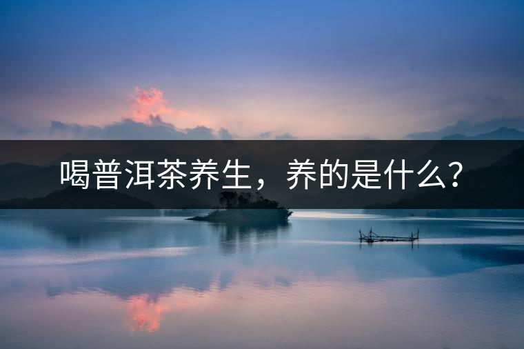 喝普洱茶養(yǎng)生，養(yǎng)的是什么？