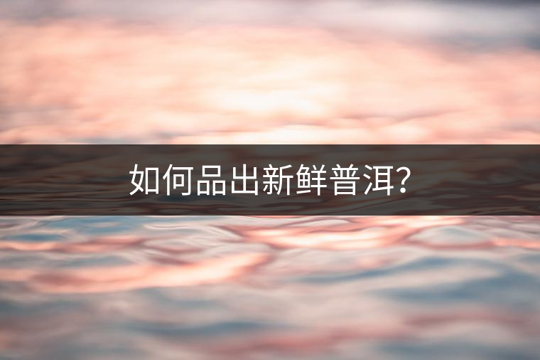 如何品出新鮮普洱？