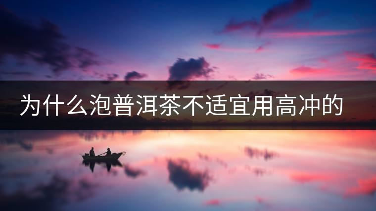 為什么泡普洱茶不適宜用高沖的方式，是有道理的