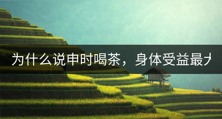為什么說(shuō)申時(shí)喝茶，身體受益最大？
