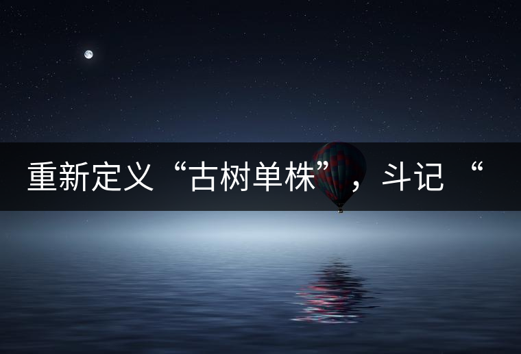重新定義“古樹單株”，斗記 “超級審評”有償招募告罄在即！
