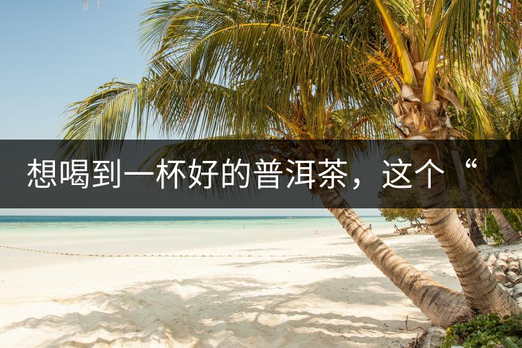 想喝到一杯好的普洱茶，這個“醒茶”步驟很關(guān)鍵