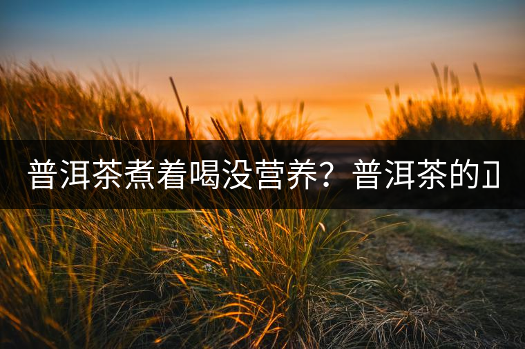 普洱茶煮著喝沒(méi)營(yíng)養(yǎng)？普洱茶的正確煮法！