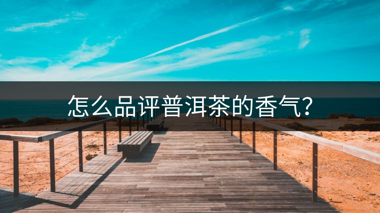 怎么品評普洱茶的香氣？
