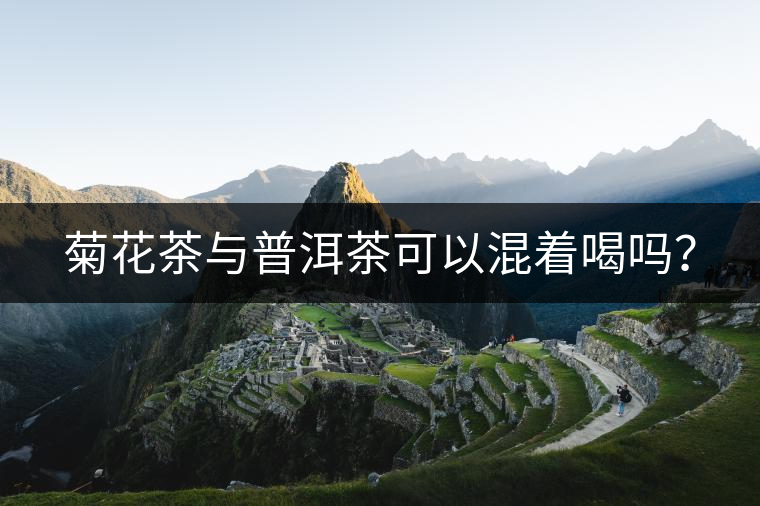 菊花茶與普洱茶可以混著喝嗎？