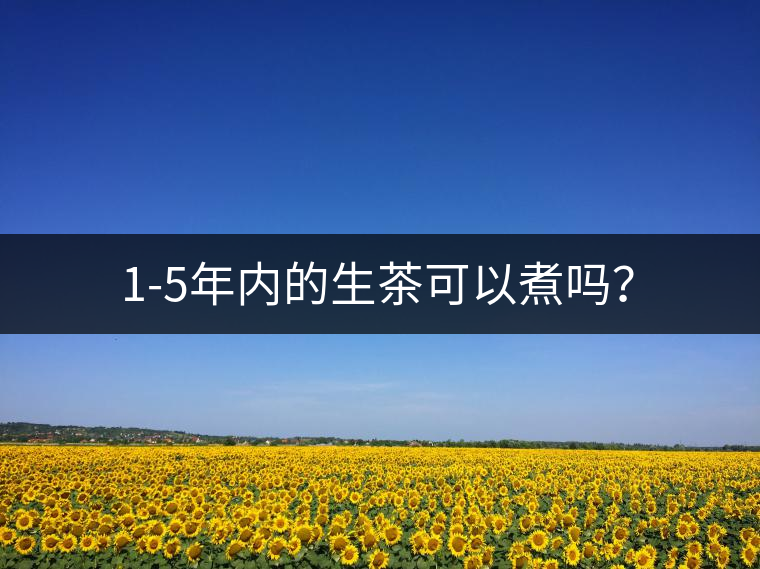 1-5年內(nèi)的生茶可以煮嗎？