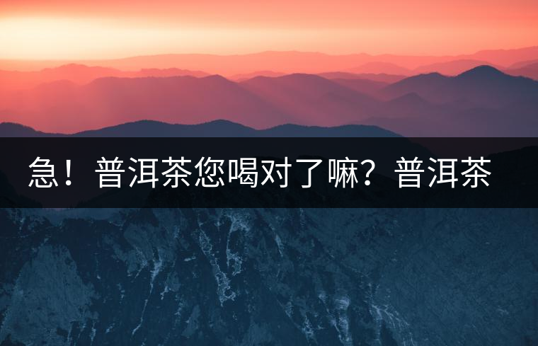 急！普洱茶您喝對(duì)了嘛？普洱茶的十八般武藝