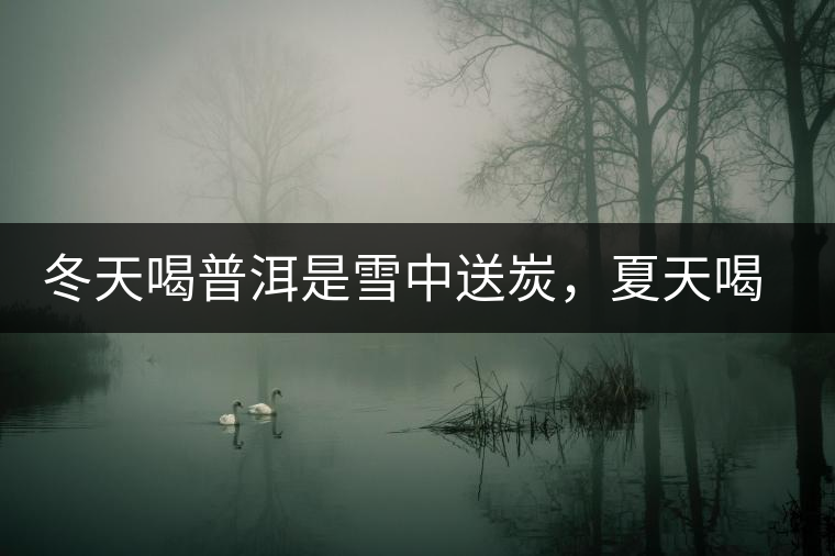 冬天喝普洱是雪中送炭，夏天喝就是火上澆油了？