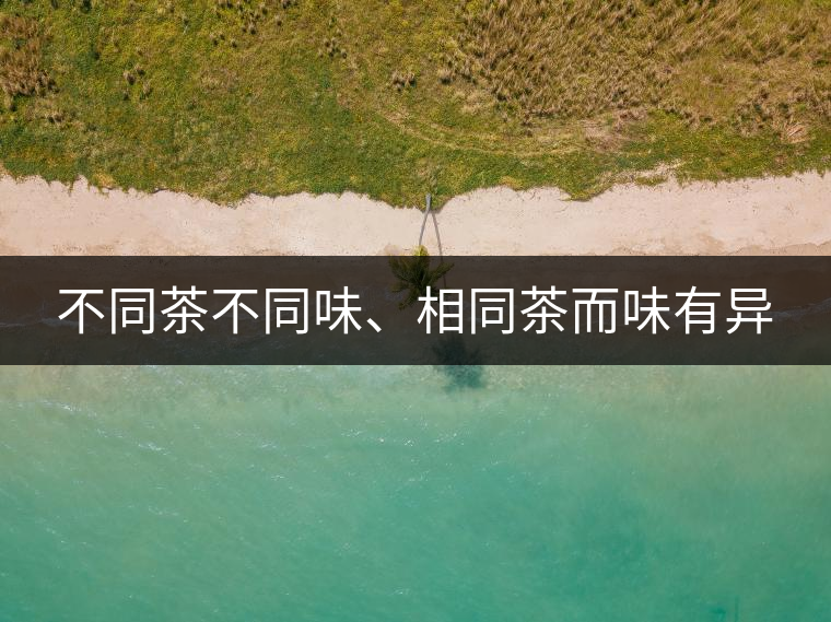 不同茶不同味、相同茶而味有異