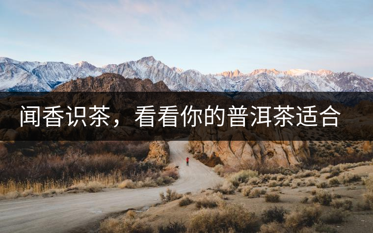 聞香識茶，看看你的普洱茶適合現(xiàn)在喝還是以后喝？